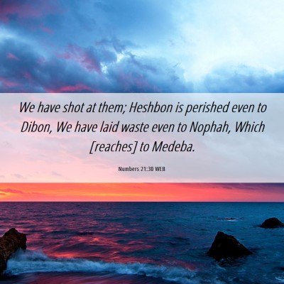 Picture 06 - Numbers 21:30 WEB - We have shot at them; Heshbon is perished even to - Bible Verse Picture