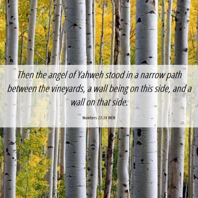 Picture 06 - Numbers 22:24 WEB - Then the angel of Yahweh stood in a narrow path - Bible Verse Picture