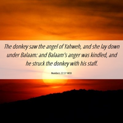 Picture 06 - Numbers 22:27 WEB - The donkey saw the angel of Yahweh, and she lay - Bible Verse Picture