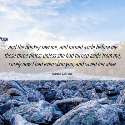 Picture 06 - Numbers 22:33 WEB - and the donkey saw me, and turned aside before me - Bible Verse Picture