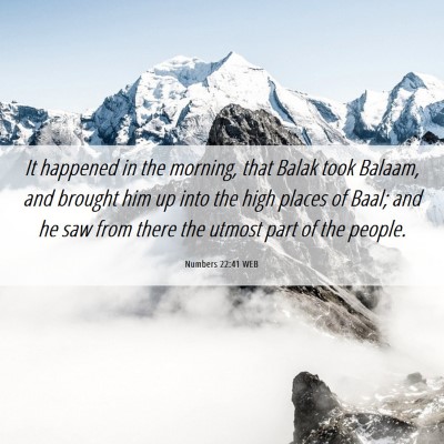 Picture 06 - Numbers 22:41 WEB - It happened in the morning, that Balak took - Bible Verse Picture