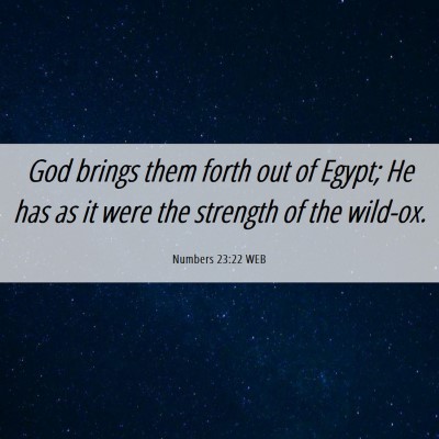 Picture 06 - Numbers 23:22 WEB - God brings them forth out of Egypt; He has as it - Bible Verse Picture
