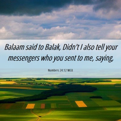 Picture 06 - Numbers 24:12 WEB - Balaam said to Balak, Didn't I also tell your - Bible Verse Picture
