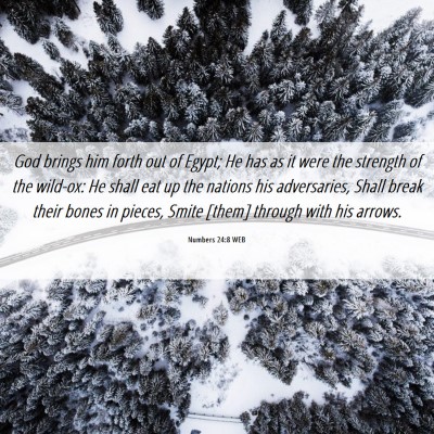 Picture 06 - Numbers 24:8 WEB - God brings him forth out of Egypt; He has as it - Bible Verse Picture