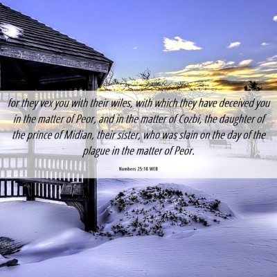Picture 06 - Numbers 25:18 WEB - for they vex you with their wiles, with which - Bible Verse Picture