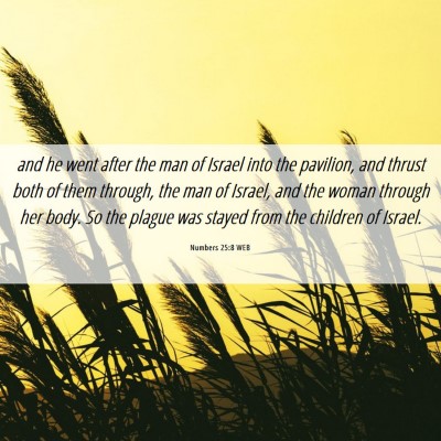 Picture 06 - Numbers 25:8 WEB - and he went after the man of Israel into the - Bible Verse Picture
