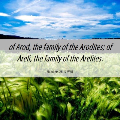 Picture 06 - Numbers 26:17 WEB - of Arod, the family of the Arodites; of Areli, - Bible Verse Picture
