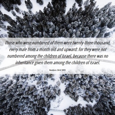 Picture 06 - Numbers 26:62 WEB - Those who were numbered of them were twenty-three - Bible Verse Picture
