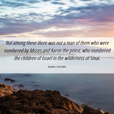 Picture 06 - Numbers 26:64 WEB - But among these there was not a man of them who - Bible Verse Picture