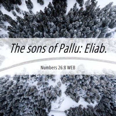 Picture 06 - Numbers 26:8 WEB - The sons of Pallu: - Bible Verse Picture