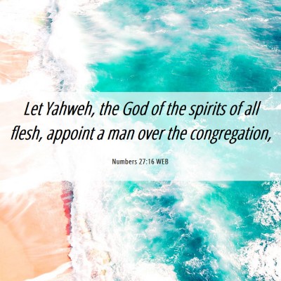 Picture 06 - Numbers 27:16 WEB - Let Yahweh, the God of the spirits of all flesh, - Bible Verse Picture