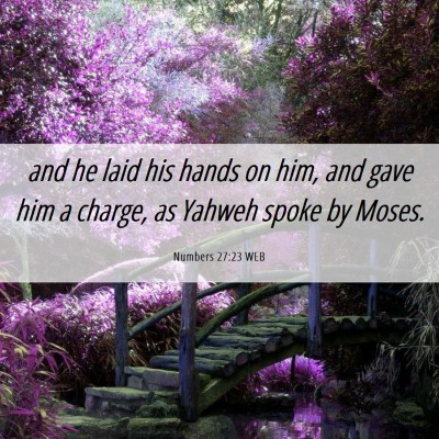 Picture 06 - Numbers 27:23 WEB - and he laid his hands on him, and gave him a - Bible Verse Picture