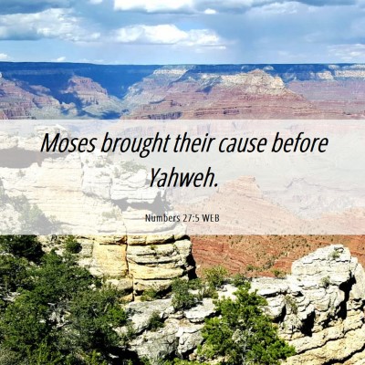 Picture 06 - Numbers 27:5 WEB - Moses brought their cause before - Bible Verse Picture