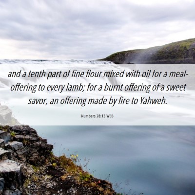 Picture 06 - Numbers 28:13 WEB - and a tenth part of fine flour mixed with oil for - Bible Verse Picture