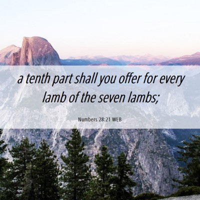 Picture 06 - Numbers 28:21 WEB - a tenth part shall you offer for every lamb of - Bible Verse Picture