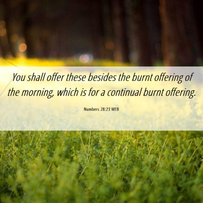 Picture 06 - Numbers 28:23 WEB - You shall offer these besides the burnt offering - Bible Verse Picture