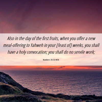 Picture 06 - Numbers 28:26 WEB - Also in the day of the first fruits, when you - Bible Verse Picture