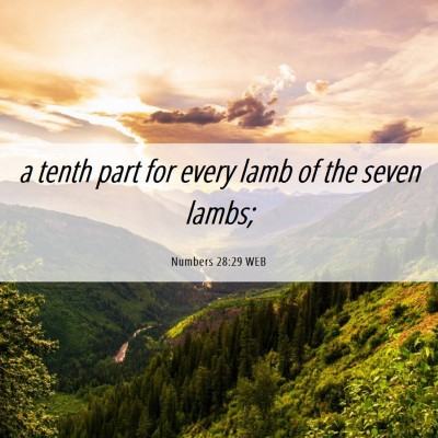 Picture 06 - Numbers 28:29 WEB - a tenth part for every lamb of the seven - Bible Verse Picture