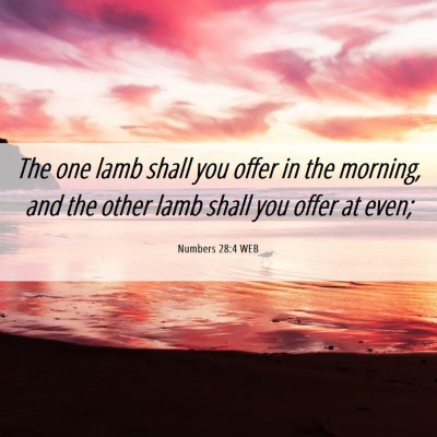 Picture 06 - Numbers 28:4 WEB - The one lamb shall you offer in the morning, and - Bible Verse Picture