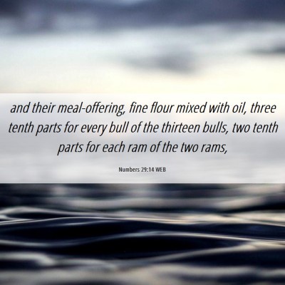 Picture 06 - Numbers 29:14 WEB - and their meal-offering, fine flour mixed with - Bible Verse Picture
