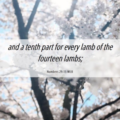 Picture 06 - Numbers 29:15 WEB - and a tenth part for every lamb of the fourteen - Bible Verse Picture