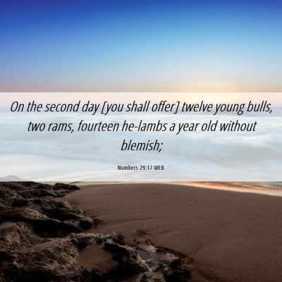 Picture 06 - Numbers 29:17 WEB - On the second day [you shall offer] twelve young - Bible Verse Picture
