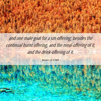 Picture 06 - Numbers 29:22 WEB - and one male goat for a sin-offering; besides the - Bible Verse Picture