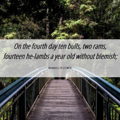 Picture 06 - Numbers 29:23 WEB - On the fourth day ten bulls, two rams, fourteen - Bible Verse Picture