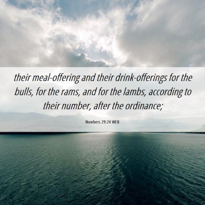 Picture 06 - Numbers 29:24 WEB - their meal-offering and their drink-offerings for - Bible Verse Picture
