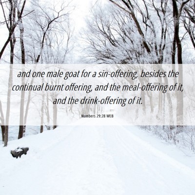 Picture 06 - Numbers 29:28 WEB - and one male goat for a sin-offering, besides the - Bible Verse Picture