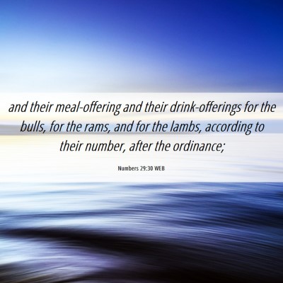 Picture 06 - Numbers 29:30 WEB - and their meal-offering and their drink-offerings - Bible Verse Picture