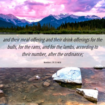 Picture 06 - Numbers 29:33 WEB - and their meal-offering and their drink-offerings - Bible Verse Picture