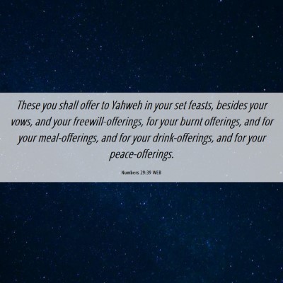 Picture 06 - Numbers 29:39 WEB - These you shall offer to Yahweh in your set - Bible Verse Picture