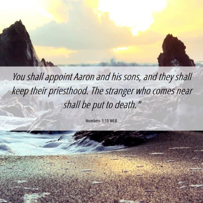 Picture 06 - Numbers 3:10 WEB - You shall appoint Aaron and his sons, and they - Bible Verse Picture