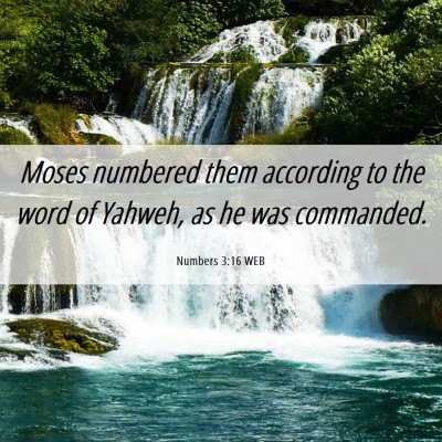 Picture 06 - Numbers 3:16 WEB - Moses numbered them according to the word of - Bible Verse Picture