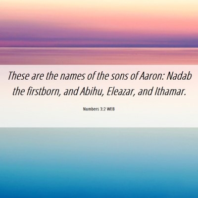Picture 06 - Numbers 3:2 WEB - These are the names of the sons of Aaron: Nadab - Bible Verse Picture