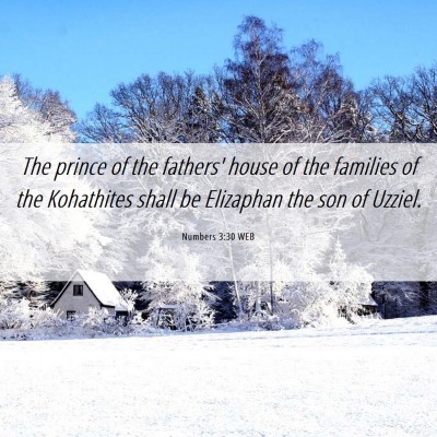 Picture 06 - Numbers 3:30 WEB - The prince of the fathers' house of the families - Bible Verse Picture
