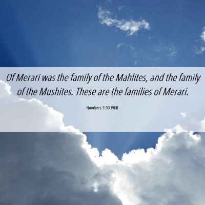 Picture 06 - Numbers 3:33 WEB - Of Merari was the family of the Mahlites, and the - Bible Verse Picture