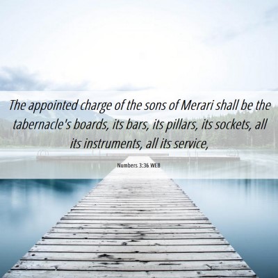 Picture 06 - Numbers 3:36 WEB - The appointed charge of the sons of Merari shall - Bible Verse Picture