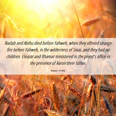Picture 06 - Numbers 3:4 WEB - Nadab and Abihu died before Yahweh, when they - Bible Verse Picture