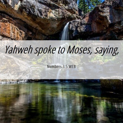 Picture 06 - Numbers 3:5 WEB - Yahweh spoke to Moses, - Bible Verse Picture