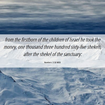Picture 06 - Numbers 3:50 WEB - from the firstborn of the children of Israel he - Bible Verse Picture