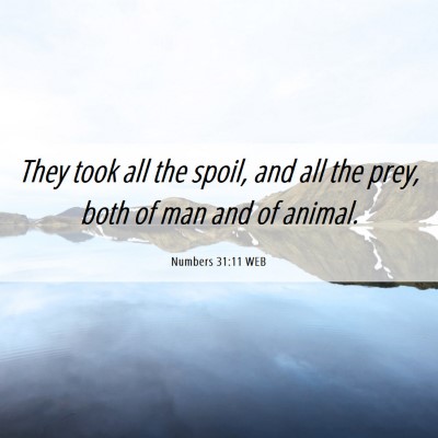Picture 06 - Numbers 31:11 WEB - They took all the spoil, and all the prey, both - Bible Verse Picture