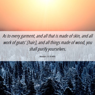 Picture 06 - Numbers 31:20 WEB - As to every garment, and all that is made of - Bible Verse Picture