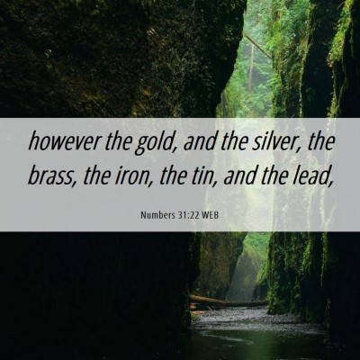 Picture 06 - Numbers 31:22 WEB - however the gold, and the silver, the brass, the - Bible Verse Picture