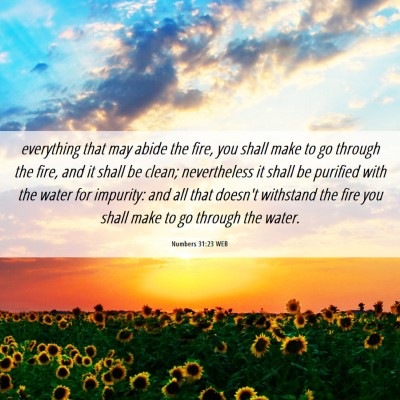 Picture 06 - Numbers 31:23 WEB - everything that may abide the fire, you shall - Bible Verse Picture