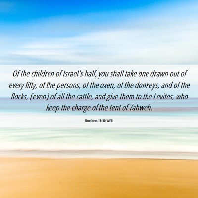 Picture 06 - Numbers 31:30 WEB - Of the children of Israel's half, you shall take - Bible Verse Picture