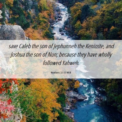 Picture 06 - Numbers 32:12 WEB - save Caleb the son of Jephunneh the Kenizzite, - Bible Verse Picture