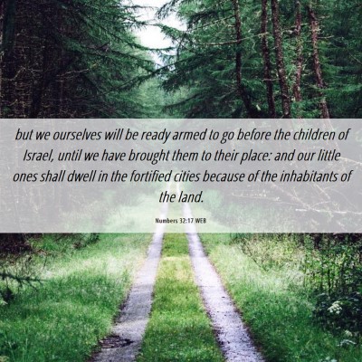 Picture 06 - Numbers 32:17 WEB - but we ourselves will be ready armed to go before - Bible Verse Picture