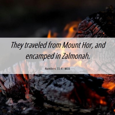 Picture 06 - Numbers 33:41 WEB - They traveled from Mount Hor, and encamped in - Bible Verse Picture